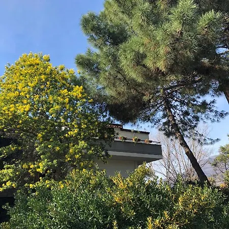 Villa Belvedere