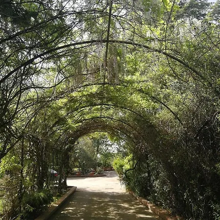Belvedere Villa Boscoreale