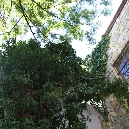 Villa Belvedere
