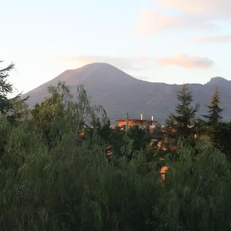 Belvedere Boscoreale