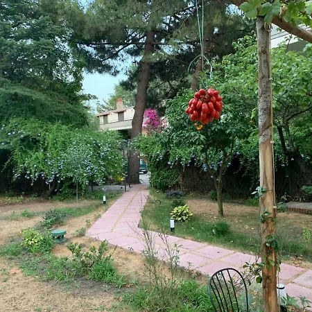 Belvedere Boscoreale